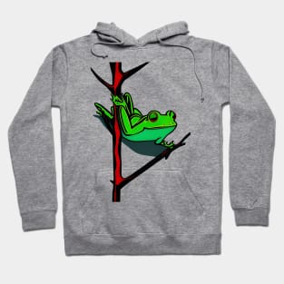 Frog on a branch Hoodie